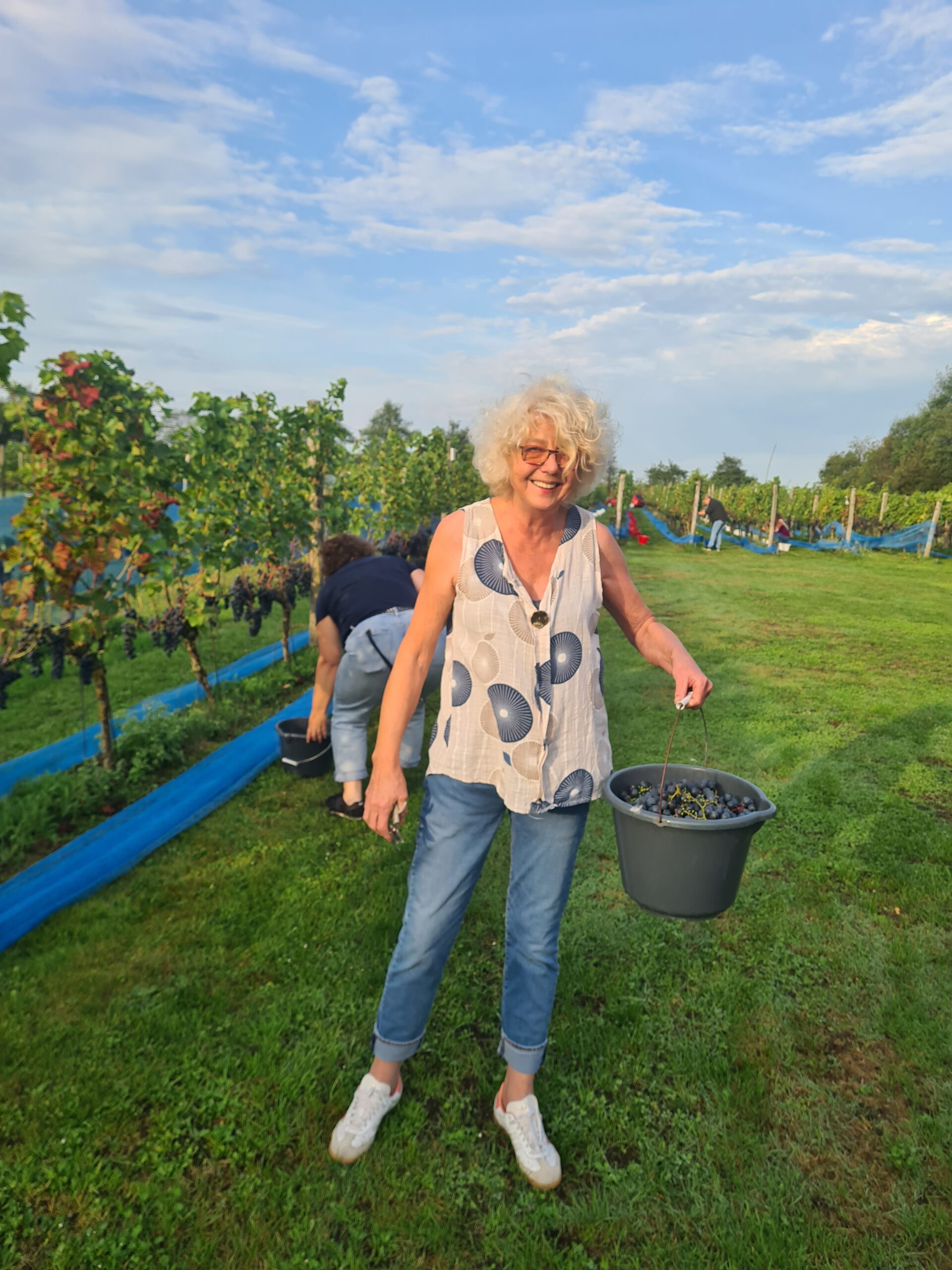 Vrijwilliger Wijngaard Achterhoek