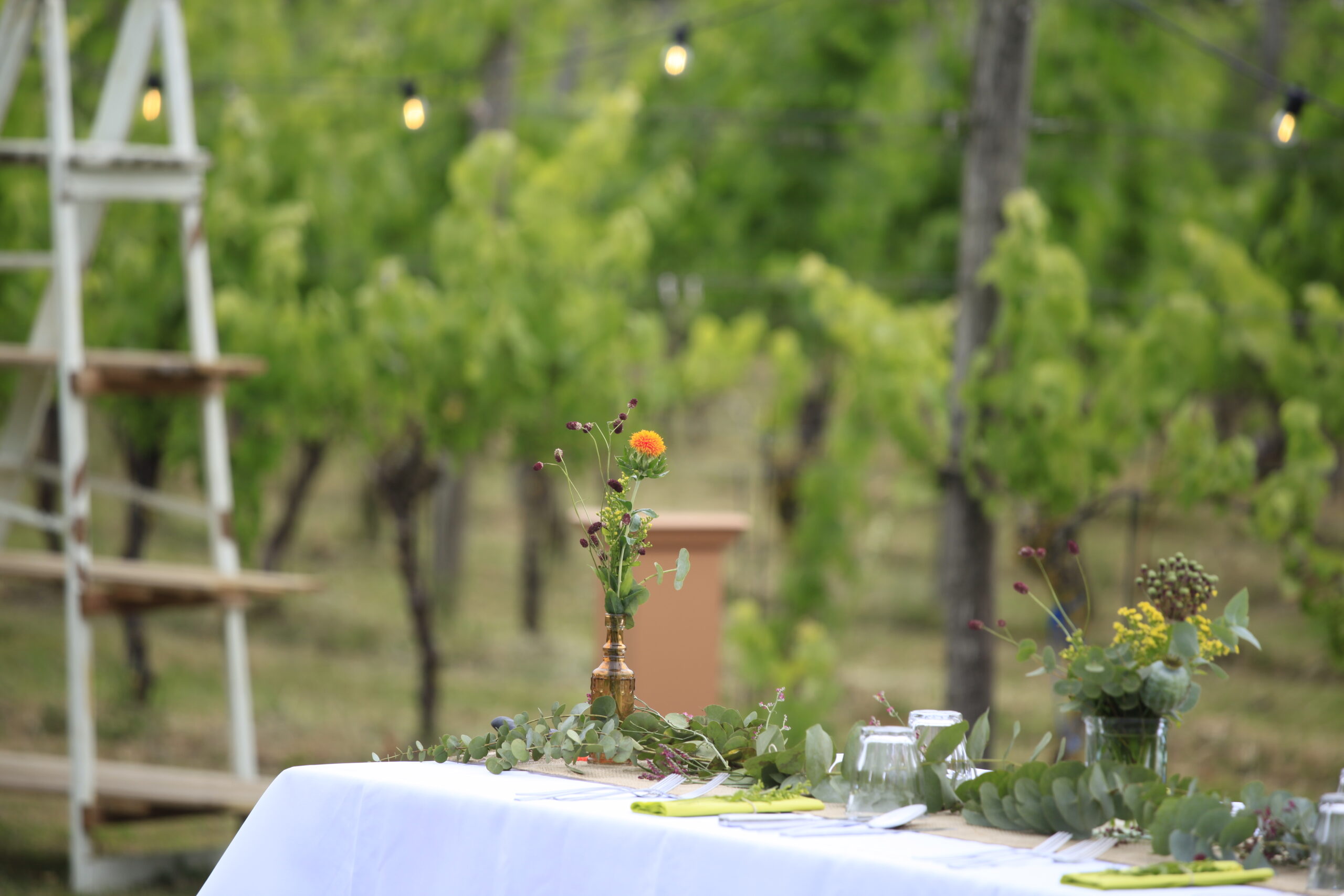 Bruiloft wijngaard Nederland
