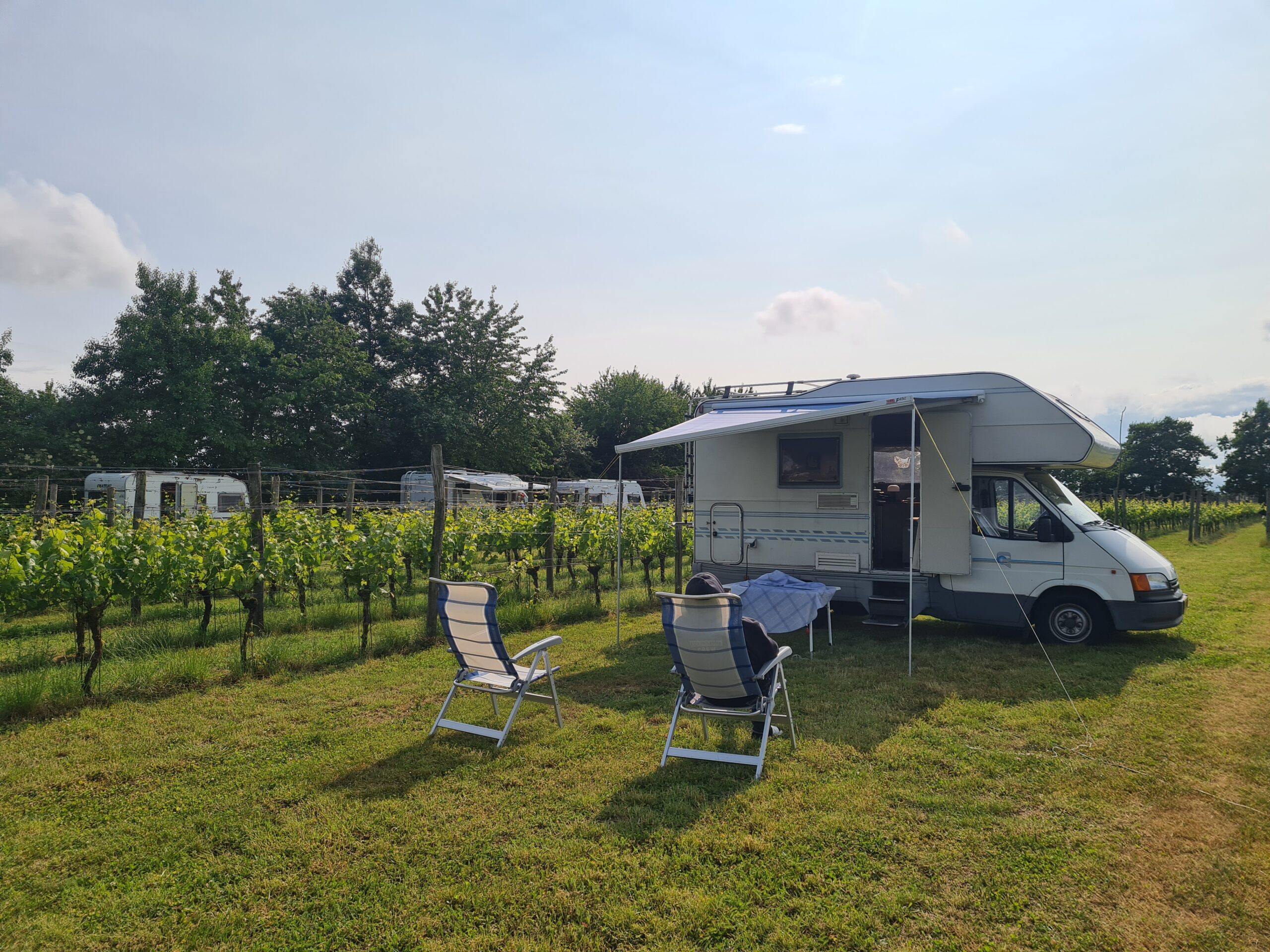 Natuurcamping Achterhoek wijngaard